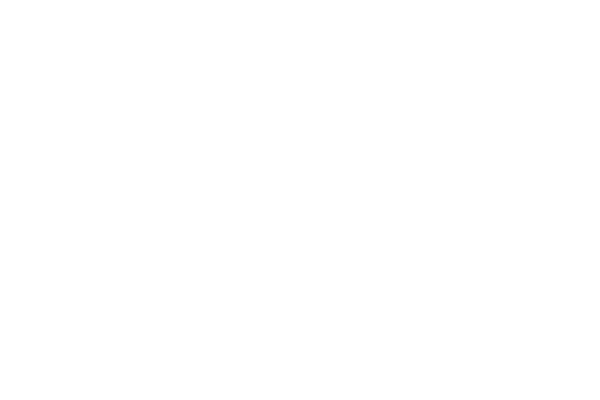WingDriver